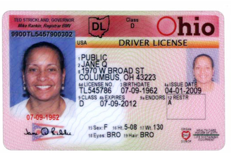 sample drivers license barcodes by state
